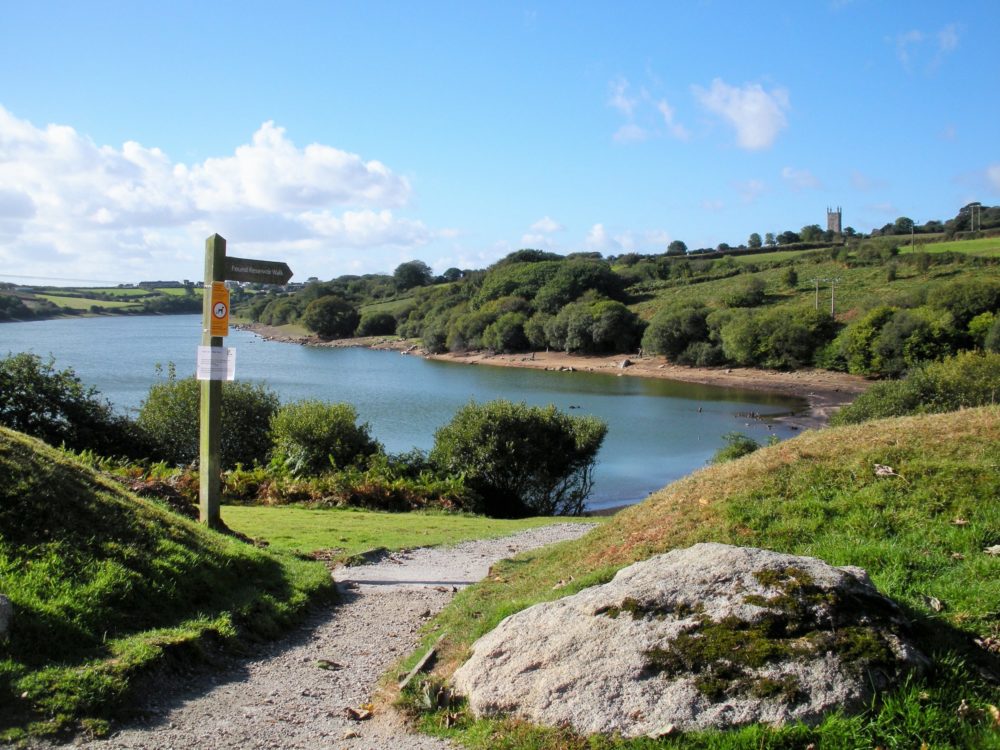 Argal and College Reservoirs Cornwall Bird Watching Tours