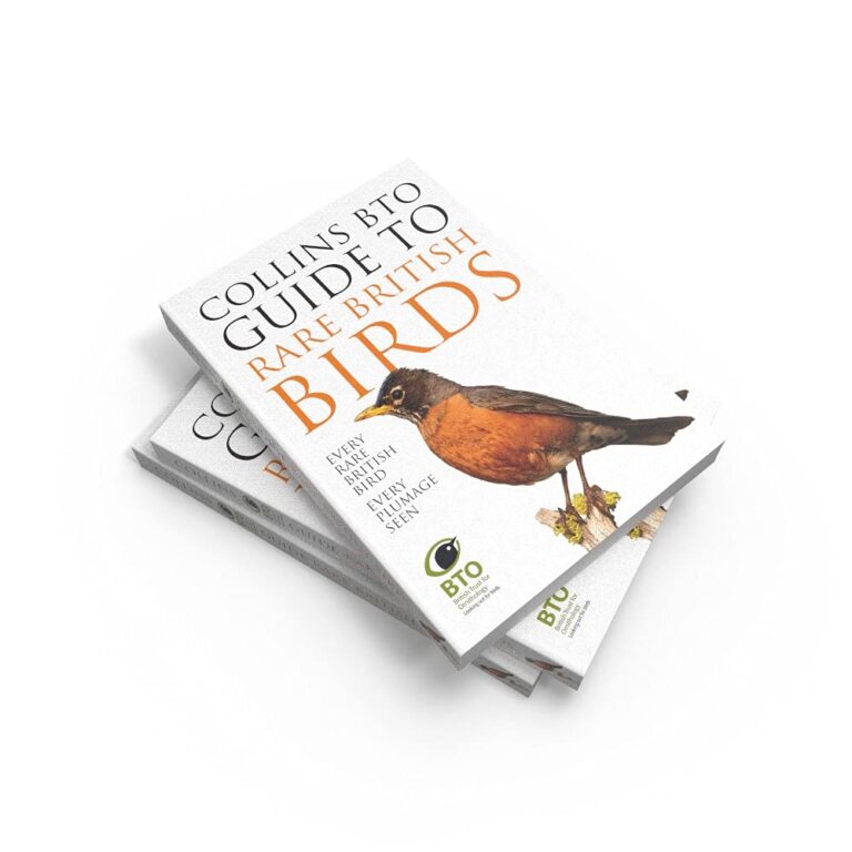 Collins Bto Guide To Rare British Birds Book Review Cornwall Bird