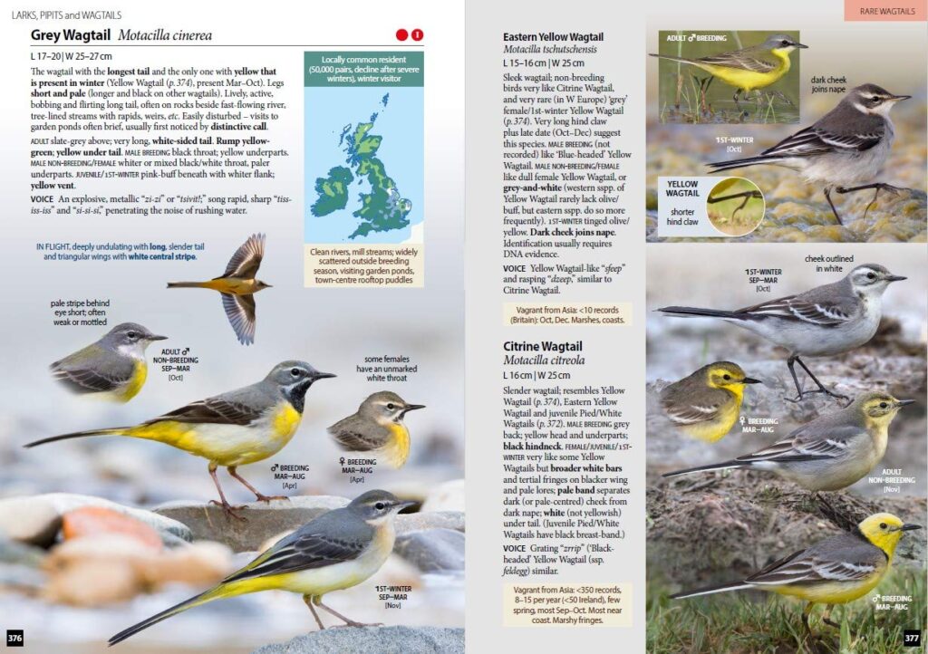 Britains Birds: An Identification Guide to the Birds of Great