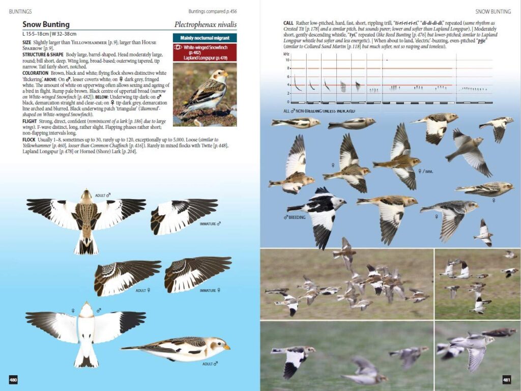 Flight Identification of European Passerines and Select Landbirds An Illustrated